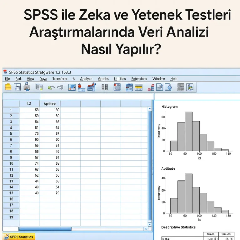 spss ile zeka ve yetenek testleri